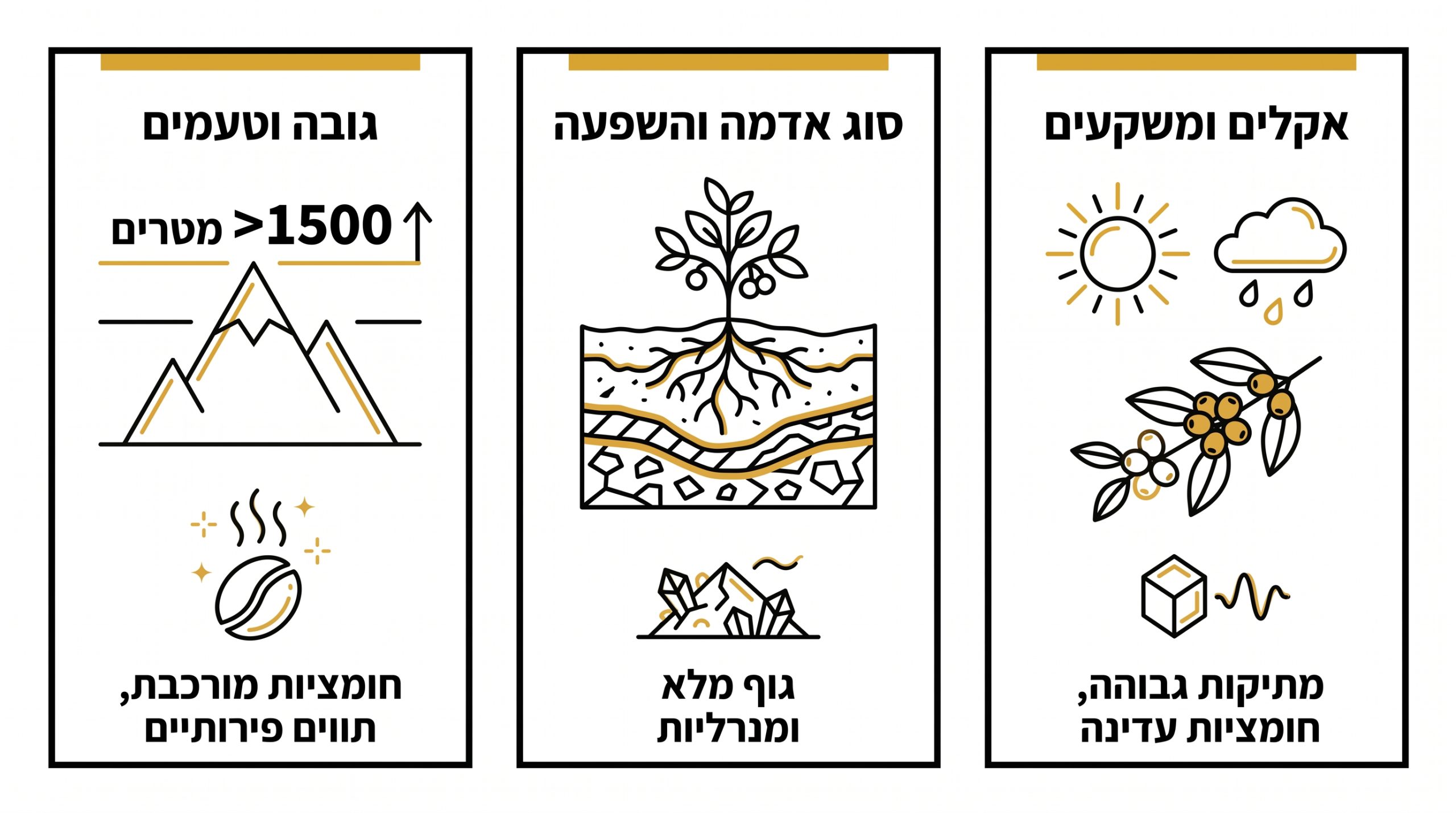 השפעת מקור גידול הקפה על הטעם - טרואר בקפה